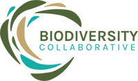 India Biodiversity Collective